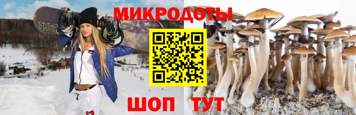 Галлюциногенные грибы GOLDEN TEACHER  Вход с VPN  Воскресенск 
